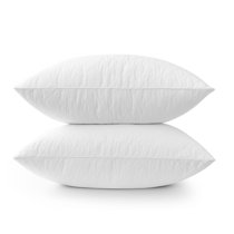 Beautyrest free 2024 spirit pillow